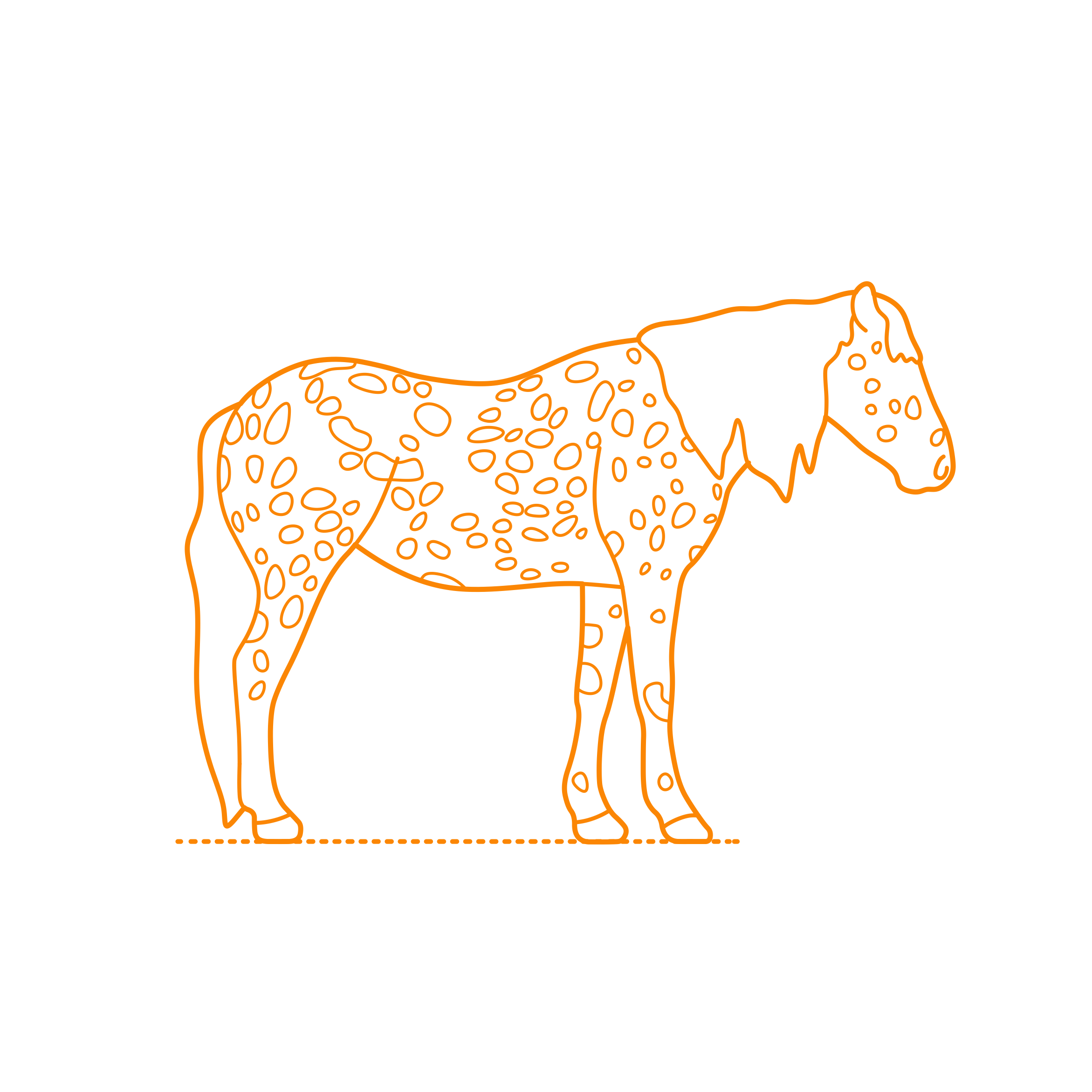 Animals Horses Appaloosa Horse Sticker Svg Vector Free Vectors